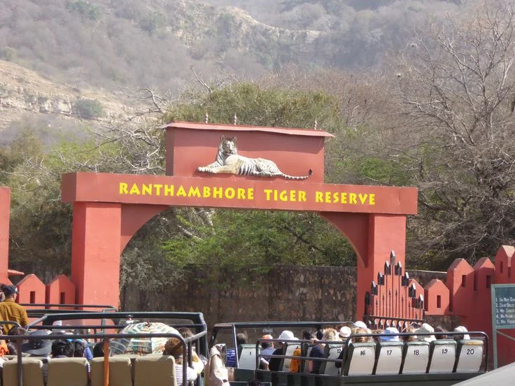 Ranthambore: Tiger Territory
