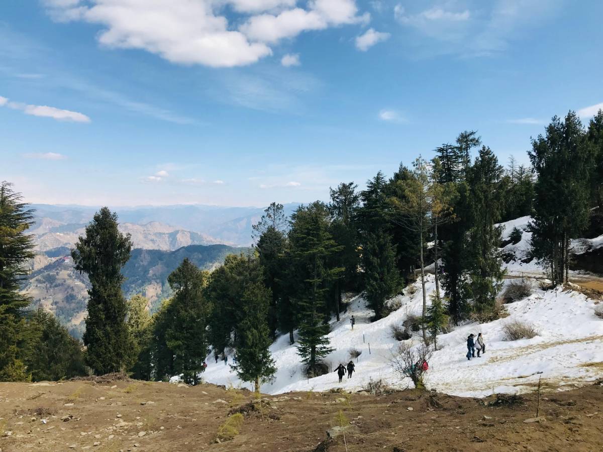 Shimla Kufri Escape